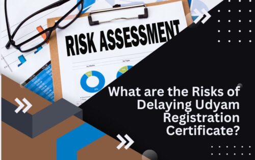 Read more about the article What are the Risks of Delaying Udyam Registration Certificate?