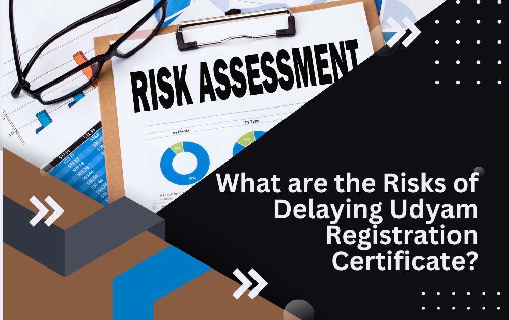 You are currently viewing What are the Risks of Delaying Udyam Registration Certificate?